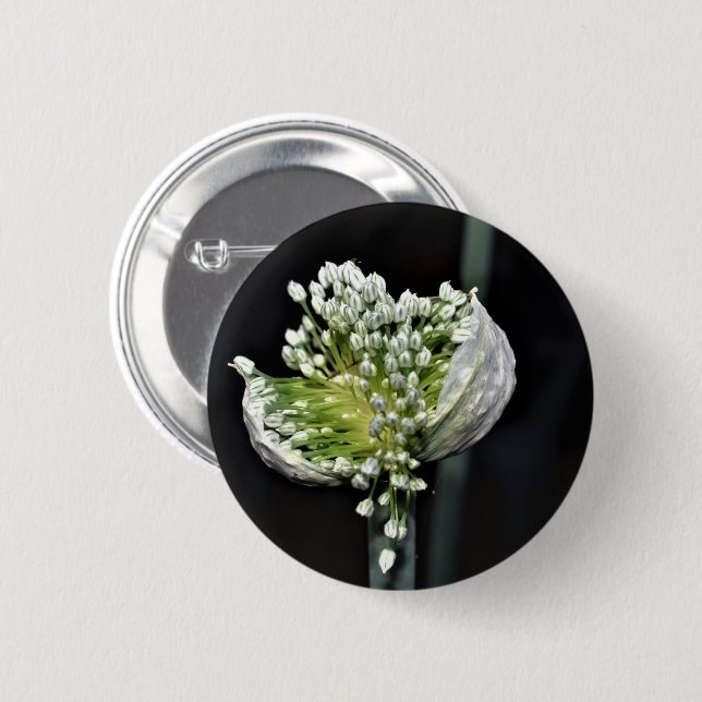 Flowering Spring Onion Pinback Button (Front & Back)