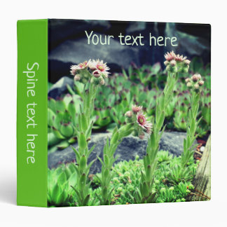 Flowering Succulents Personalized 3 Ring Binder