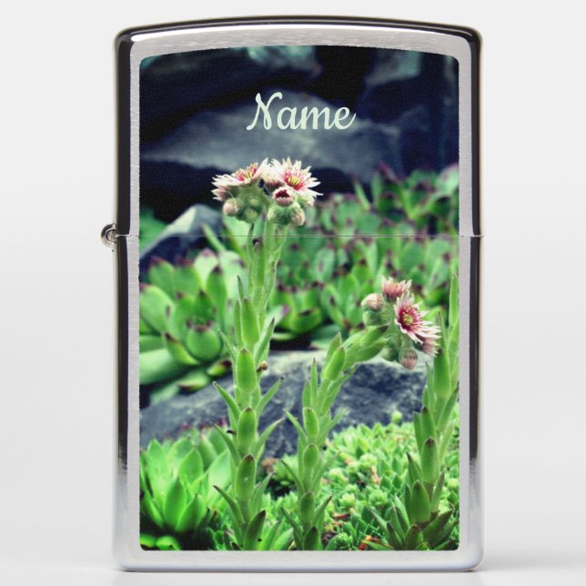 Flowering Succulents Personalized Zippo Lighter (Front)