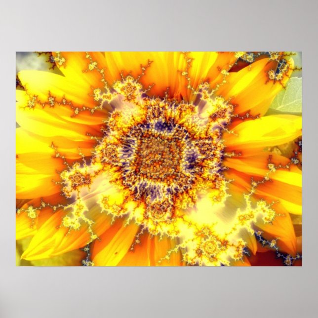 Flowering Sun - Poster (Front)