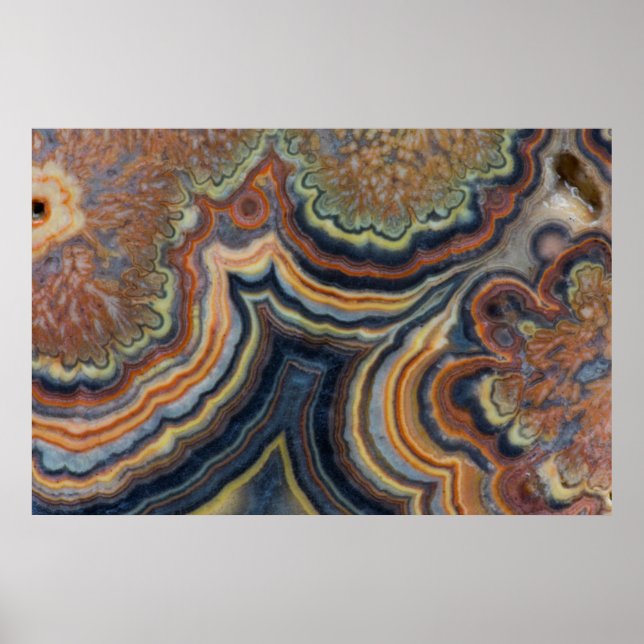 Flowering tube onyx poster (Front)