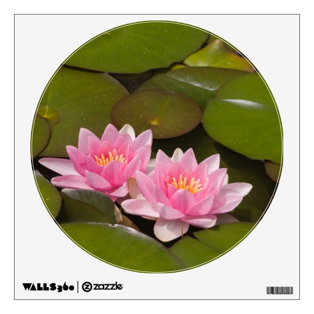 Flowering water lilies wall sticker (Front)
