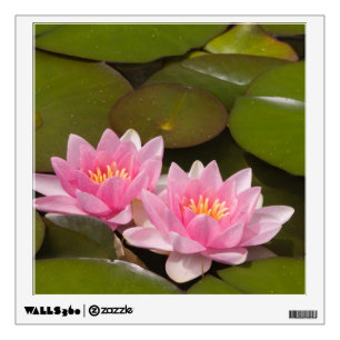 Flowering water lilies wall sticker