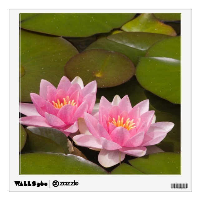 Flowering water lilies wall sticker (Front)