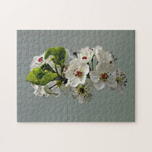 Flowering White Pear Blossoms Jigsaw Puzzle