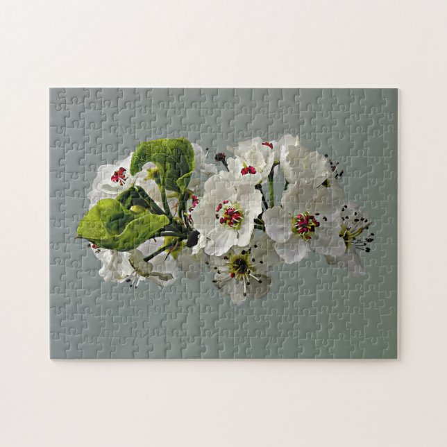 Flowering White Pear Blossoms Jigsaw Puzzle (Horizontal)