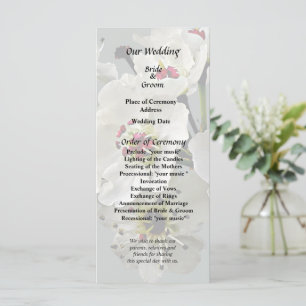 Flowering White Pear Blossoms Program