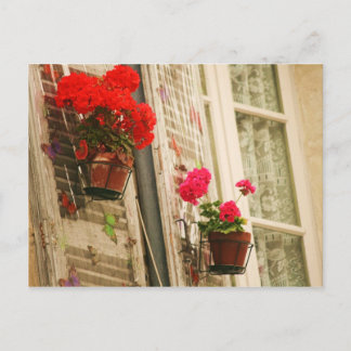flowerpots postcard