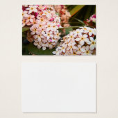 Flowers (Front & Back)