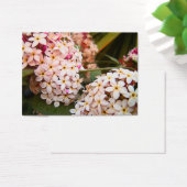 Flowers (Desk)