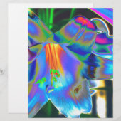 Flowers (Front/Back)