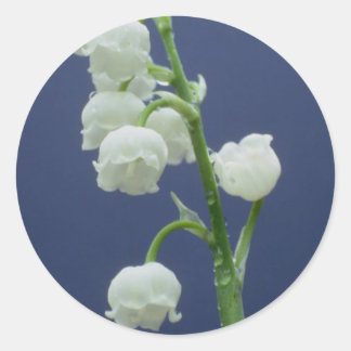 Flowers 110 classic round sticker