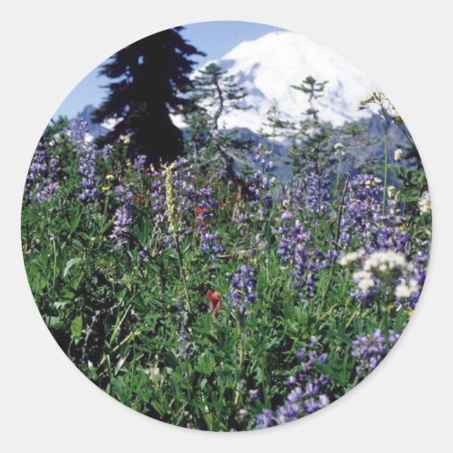 Flowers 139 classic round sticker (Front)