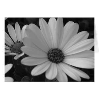 Flowers #1 cards