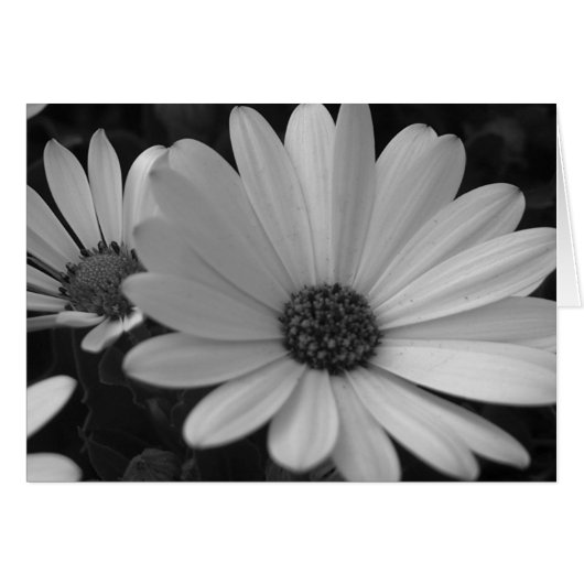 Flowers #1 cards (Front Horizontal)