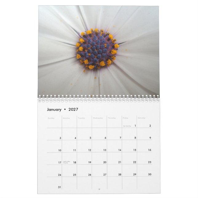 Flowers 2010 Calendar (Jan 2027)