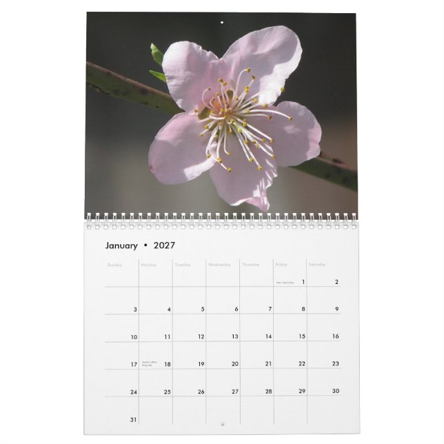 Flowers 2011 calendar (Jan 2027)