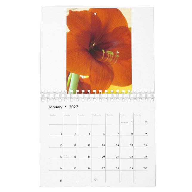 Flowers 2013 Calendar (Jan 2027)