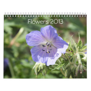 FLOWERS 2013 CALENDAR (16 MONTHS)