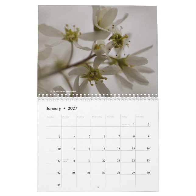 Flowers 2015 calendar (Jan 2027)