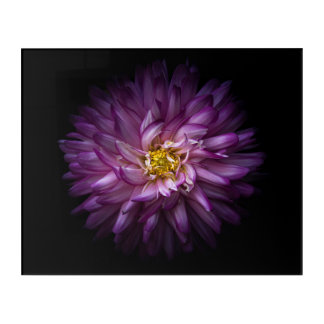 Flowers 20 acrylic print