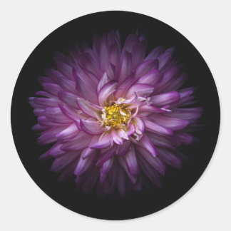 Flowers 20 classic round sticker