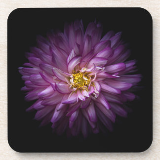 Flowers 20 coaster