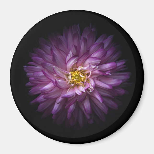 Flowers 20 magnet (Front)