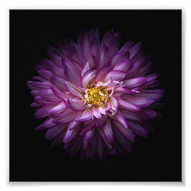 Flowers 20 photo print (Front)