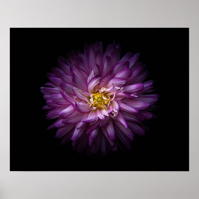 Flowers 20 poster (Front)