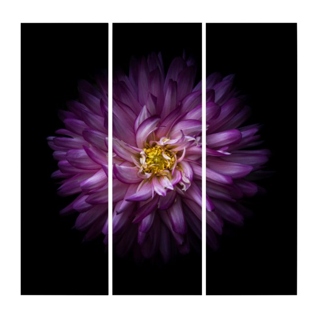 Flowers 20 triptych (Front)