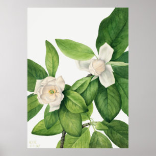 Flowers 3 poster