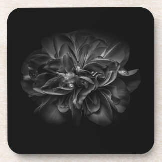 Flowers 67 BW Beverage Coaster