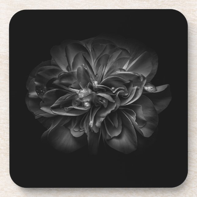Flowers 67 BW Beverage Coaster (Front)