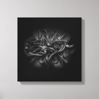 Flowers 67 BW Canvas Print