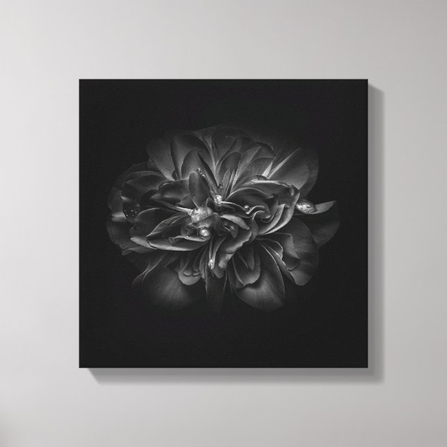 Flowers 67 BW Canvas Print (Front)