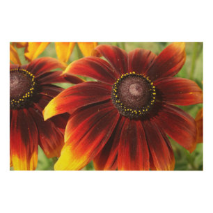 Flowers 91.4 cm x 61 cm (36" x 24") Wood Wall Art