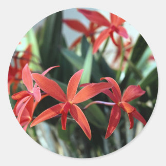 Flowers 99 classic round sticker