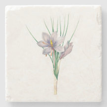 Flowers: A007 Autumn Crocus -