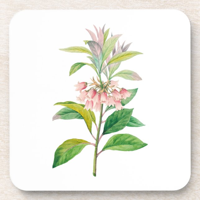 Flowers: A013 Redvein Enkianthus - Beverage Coaster (Front)