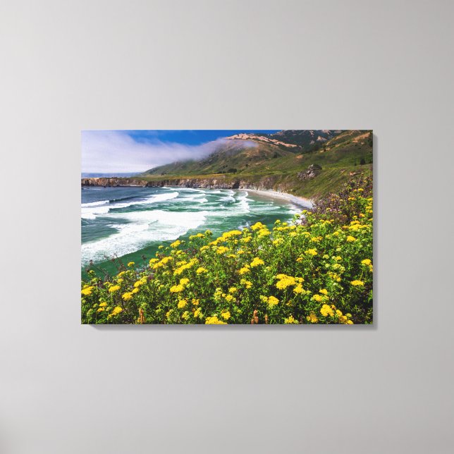 Flowers Above Sand Dollar Beach Canvas Print (Front)