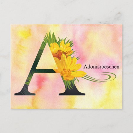 Flowers Alphabet With Watercolor Background Postcard
