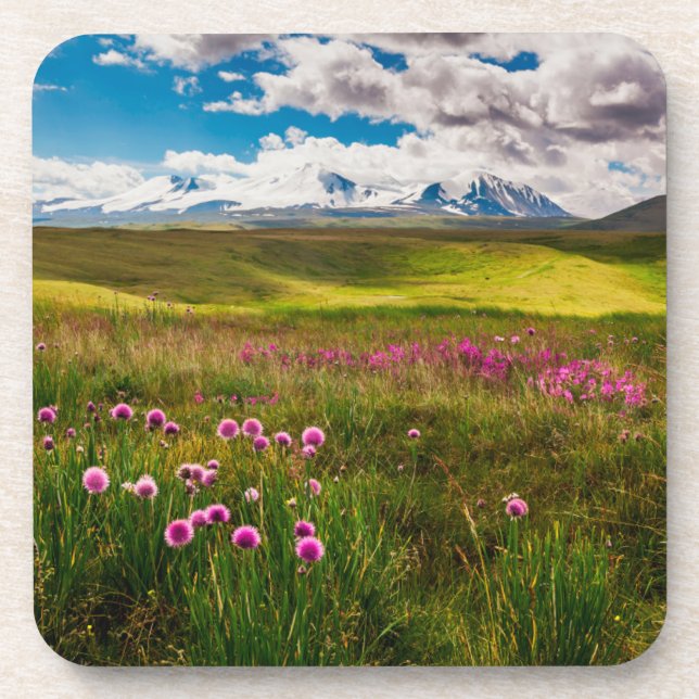 Flowers | Altai Mountains, Siberia, Russia Beverage Coaster (Front)
