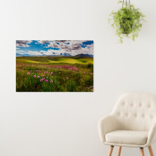 Flowers Altai Mountains, Siberia, Russia Foam Board