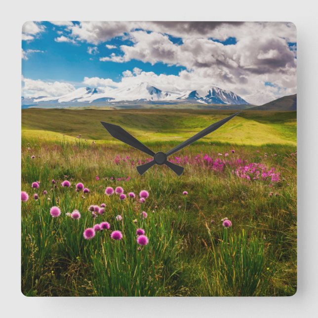 Flowers | Altai Mountains, Siberia, Russia Square Wall Clock (Front)