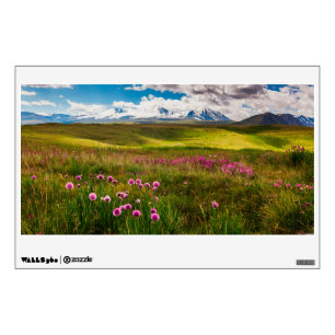 Flowers   Altai Mountains, Siberia, Russia Wall Decal