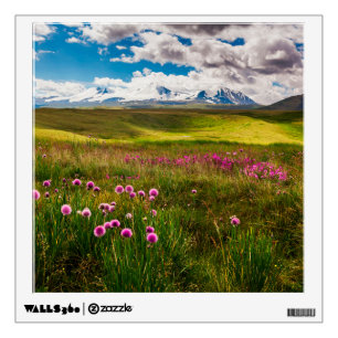 Flowers   Altai Mountains, Siberia, Russia Wall Decal