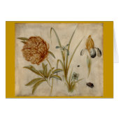 Flowers and Beetles (Front Horizontal)