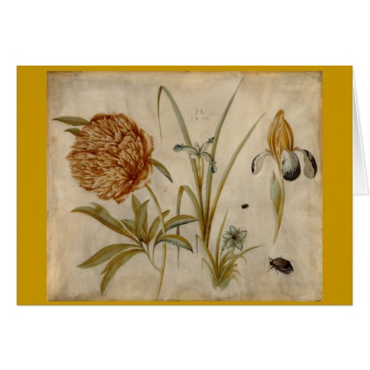Flowers and Beetles (Front Horizontal)