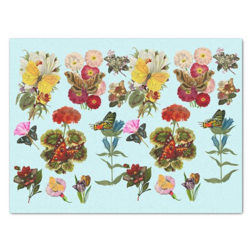 Flowers and butterflies bugs insect plants nature tissue paper